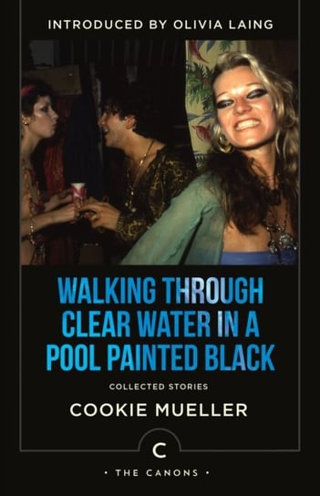 Walking Through Clear Water In a Pool Painted Black: Collected Stories Canongate Books