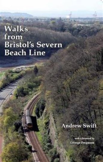 Walks from Bristols Severn Beach Line Swift Andrew