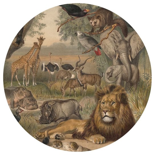 WallArt Okrągła fototapeta Animals of Africa, 190 cm WallArt