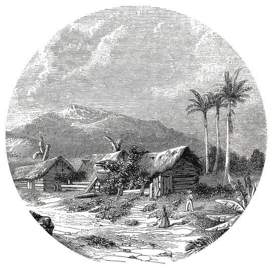 WallArt Okrągła fototapeta Landscape of Guadeloupe, 142,5 cm WallArt