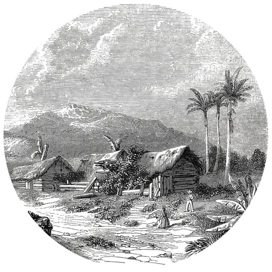 WallArt Okrągła fototapeta Landscape of Guadeloupe, 190 cm WallArt