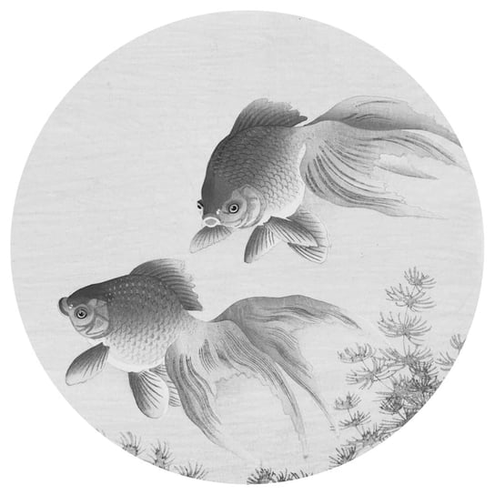 WallArt Okrągła fototapeta Two Goldfish, 142,5 cm WallArt