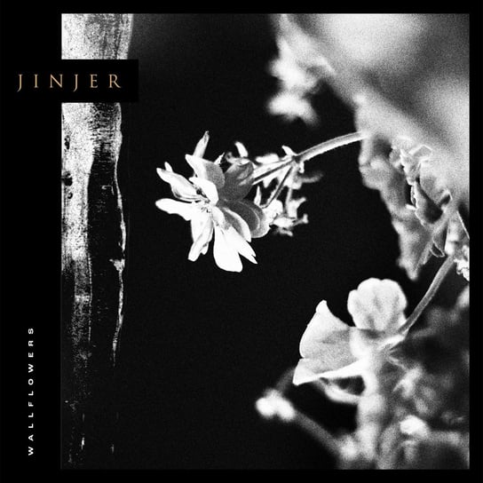 Wallflowers, płyta winylowa Jinjer