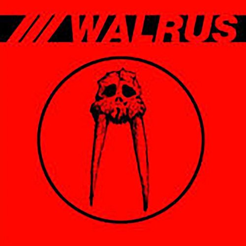 Walrus Walrus