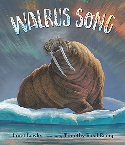 Walrus Song Janet Lawler