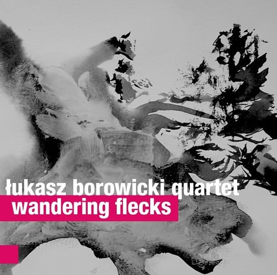 Wandering Flecks Łukasz Borowicki Quartet