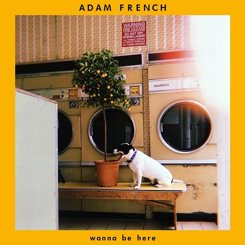 Wanna Be Here Adam French