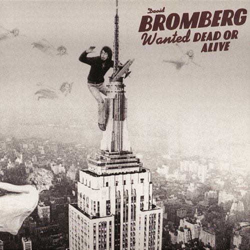 Wanted Dead Or Alive David Bromberg