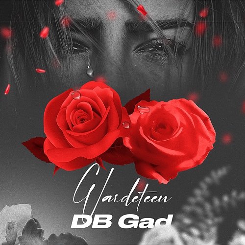 Wardeteen DB Gad