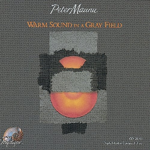 Warm Sound In A Gray Field Peter Maunu