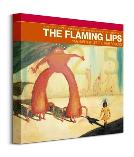 Warner Music The Flaming Lips - obraz na płótnie Pyramid International