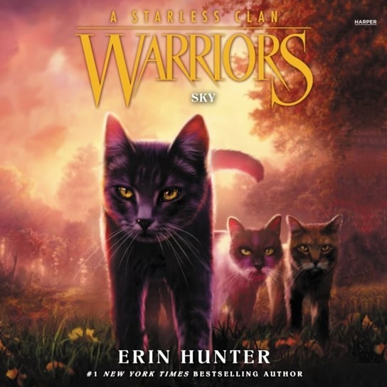 Warriors. A Starless Clan. Sky. Part 2 Hunter Erin