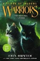 Warriors. A Vision of Shadows 6. The Raging Storm Hunter Erin