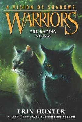 Warriors: A Vision of Shadows #6: The Raging Storm Hunter Erin