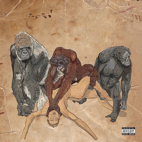 Warriors Too Many Zooz