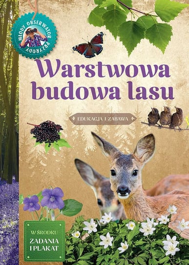 Warstwowa budowa lasu. Młody Obserwator Przyrody Artur Sawicki