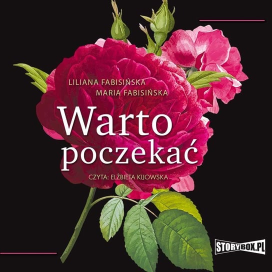 Warto poczekać - audiobook Fabisińska Liliana, Fabisińska Maria