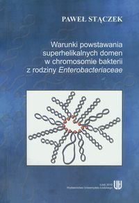 Warunki powstania superhelikalnych domen w chromosomie bakterii z rodziny Enterobacteriaceae Stączek Paweł