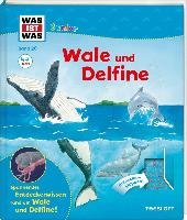 WAS IST WAS Junior 26. Wale und Delfine Oftring Barbel