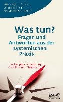 Was tun? Fragen und Antworten aus der systemischen Praxis Fischer Hans Rudi, Borst Ulrike, Schlippe Arist