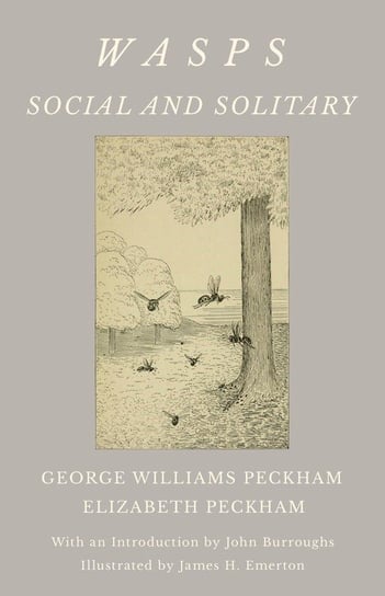 Wasps - Social and Solitary; With an Introduction by John Burroughs - Illustrated by James H. Emerton George Williams Peckham