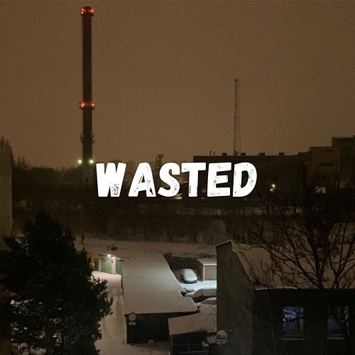 Wasted Fl33x, dvmik