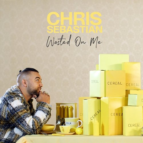 Wasted On Me Chris Sebastian