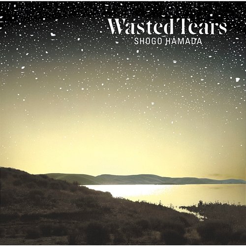WASTED TEARS Shogo Hamada