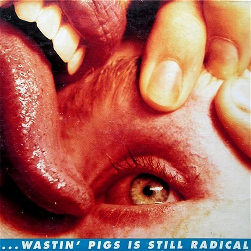 Wastin' Pigs The Flaming Lips