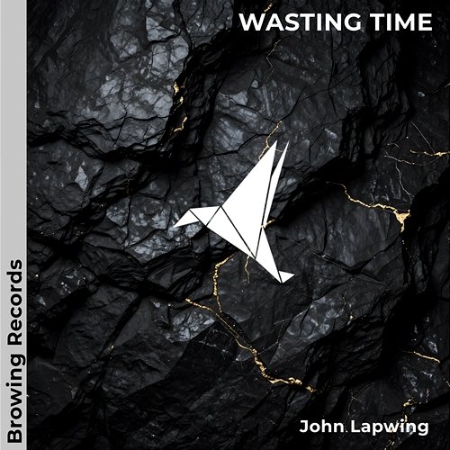Wasting Time John Lapwing