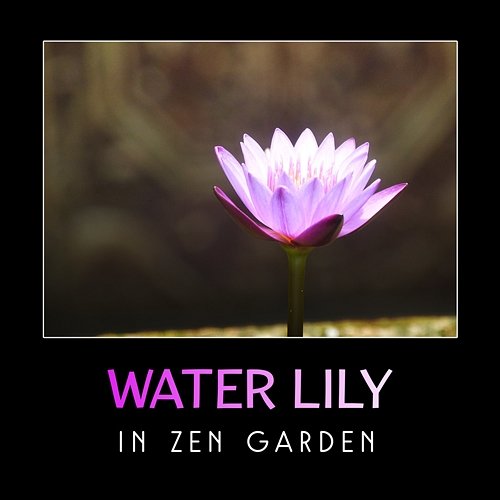 Water Lily in Zen Garden – Beautiful & Gentle Chinese Music Lu Xuna Qian