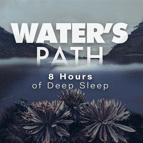 Water’s Path: 8 Hours Of Deep Sleep White Sounds