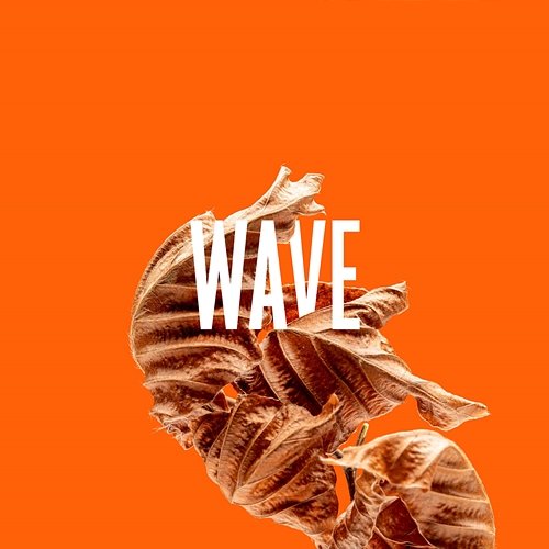 Wave From Kid