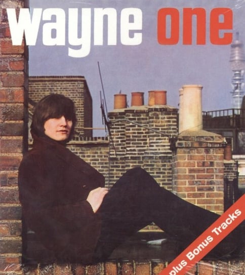 Wayne One + 20 Fontana Wayne