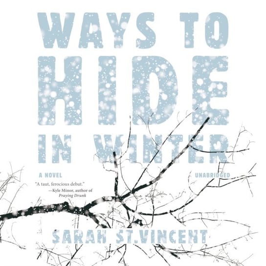 Ways to Hide in Winter Sarah St.Vincent