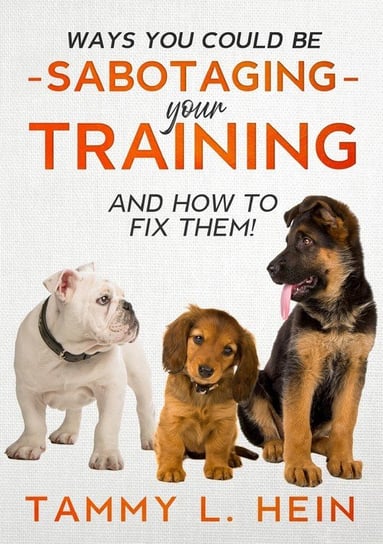 Ways You Could Be Sabotaging Your Training Sessions Hein Tammy L