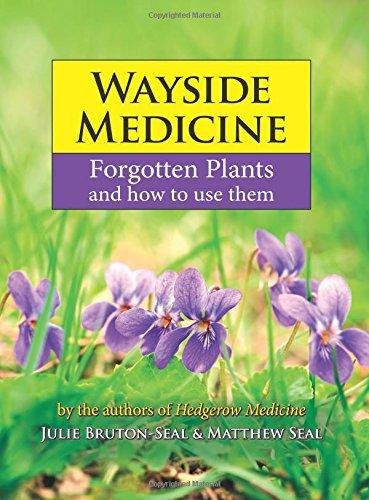 Wayside Medicine: Forgotten Plants and how to use them Julie Bruton-Seal, Matthew Seal