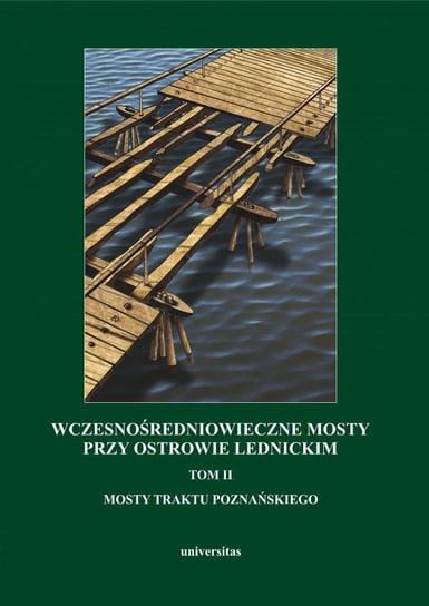 Wczesnośredniowieczne mosty przy Ostrowie Lednickim. Tom 2. Mosty traktu poznańskiego Wilke Gerard, Kola Andrzej