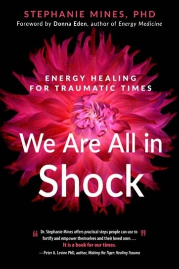 We are All in Shock: Energy Healing for Traumatic Times Stephanie Mines