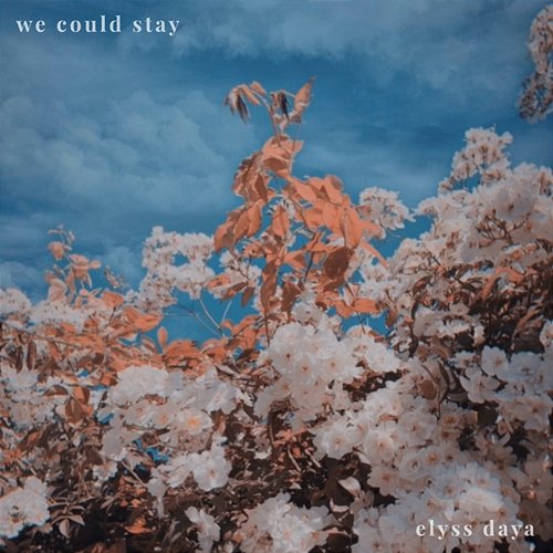 We Could Stay Elyss Daya