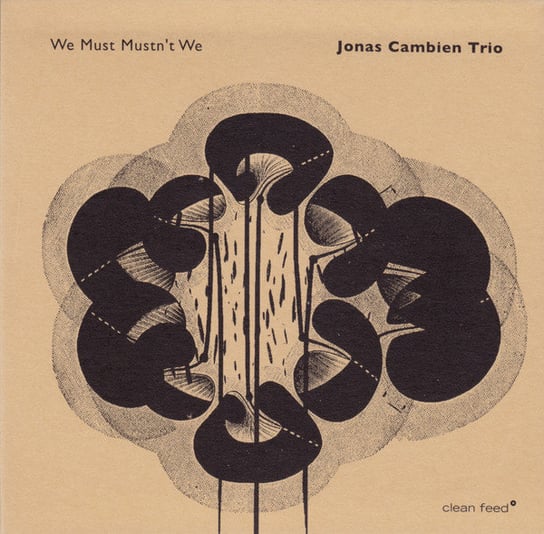 We Must Mustn't We Jonas Cambien Trio
