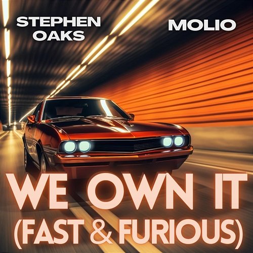 WE OWN IT (FAST & FURIOUS) Stephen Oaks, Molio