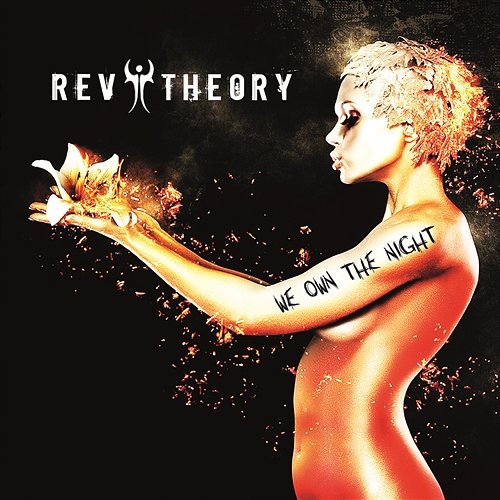 We Own the Night Rev Theory