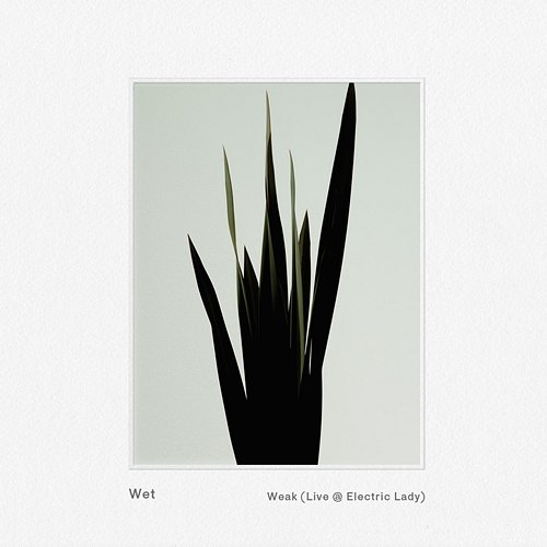 Weak Wet