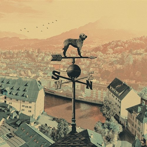 Weathervane Cold Collective