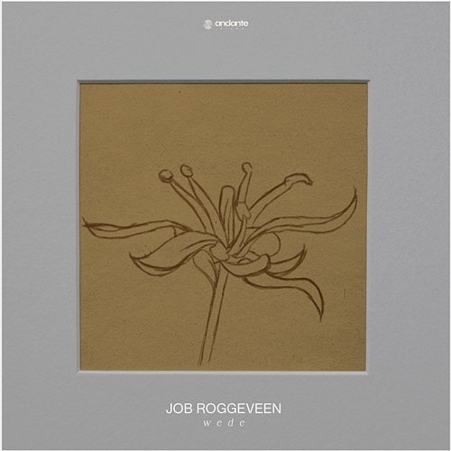 Wede Job Roggeveen