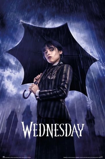 Wednesday Umbrella - plakat Inna marka