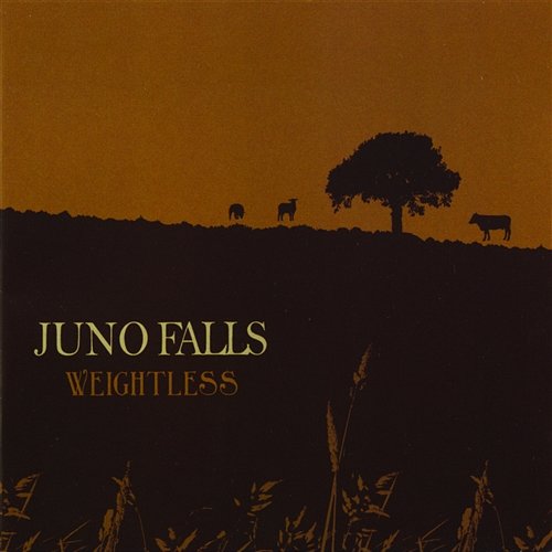 Weightless Juno Falls