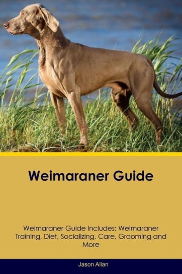 Weimaraner Guide Weimaraner Guide Includes Allan Jason