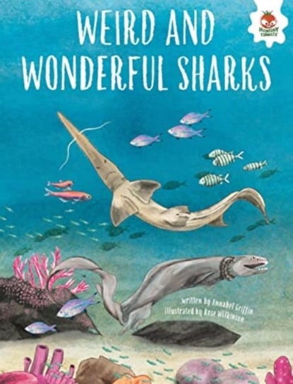 WEIRD AND WONDERFUL SHARKS: Shark Safari   STEM Annabel Griffin
